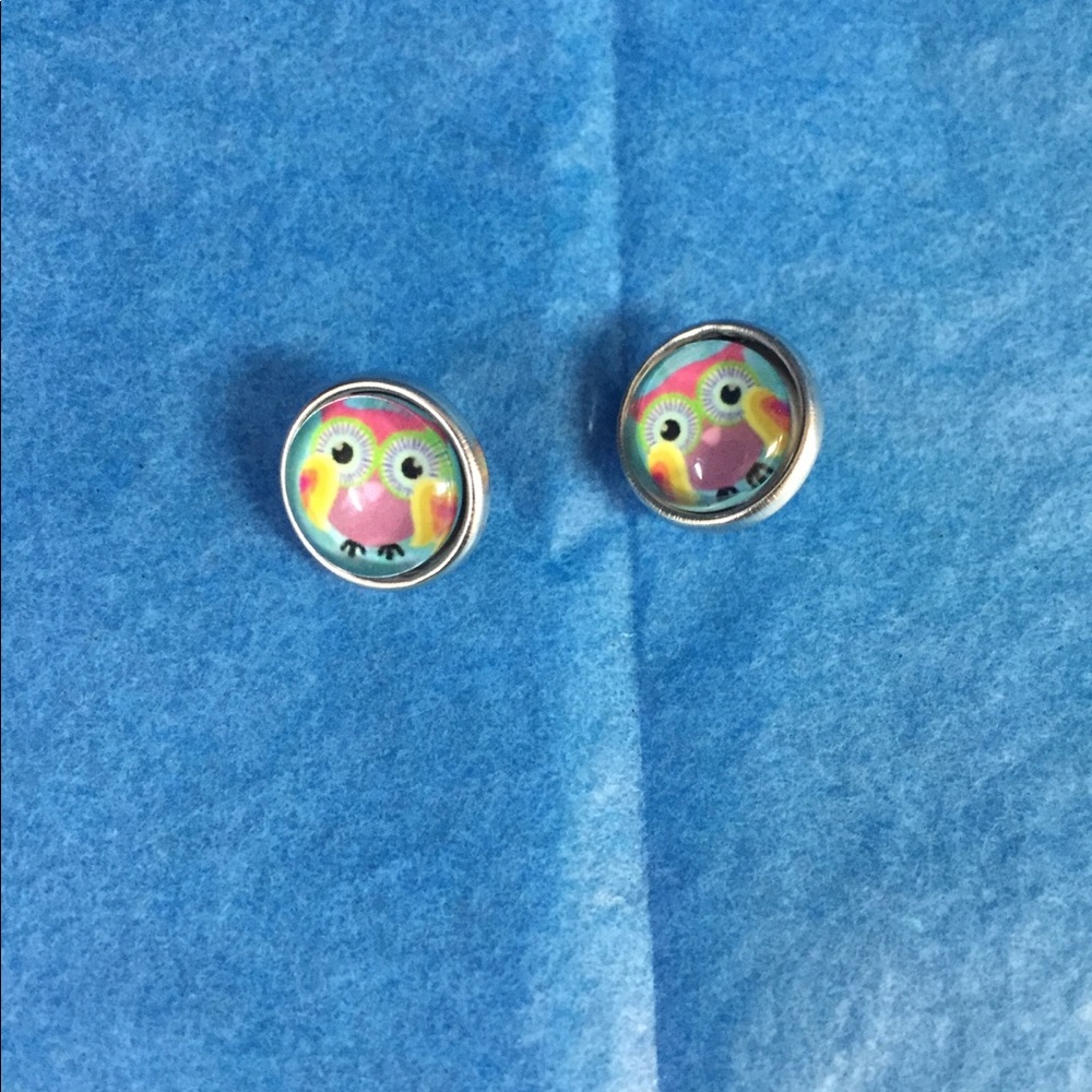 Cute multi colored owl snap buttons